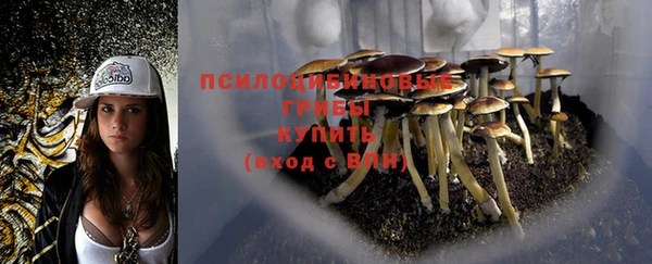 кристаллы Алексин