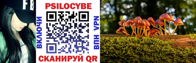 Галлюциногенные грибы Psilocybe  купить наркотик  Боровичи 
