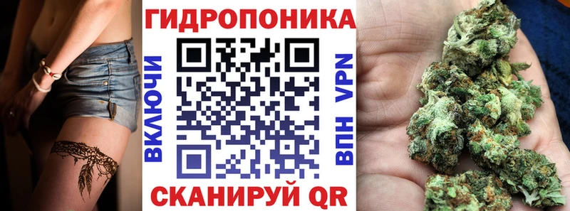 Шишки марихуана марихуана  Боровичи 